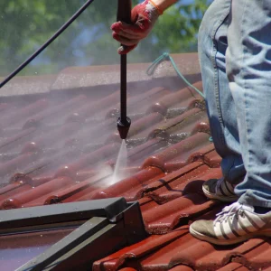 Stop Roof Damage with Regular Algae Roof Cleaning