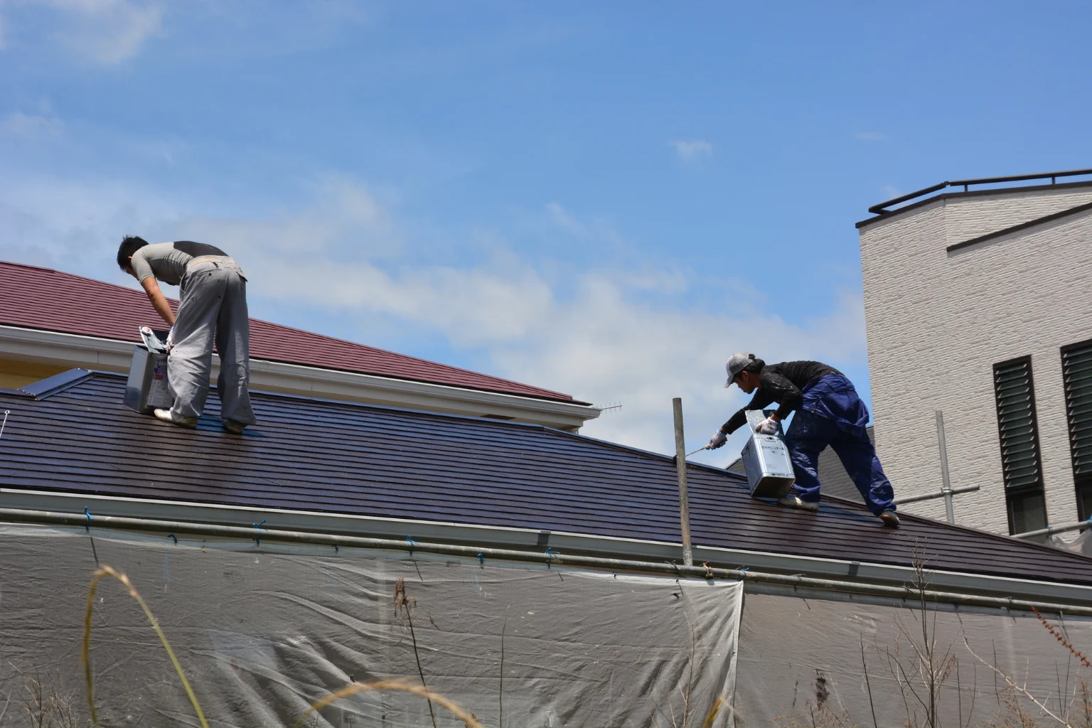 Professional Roof Inspection