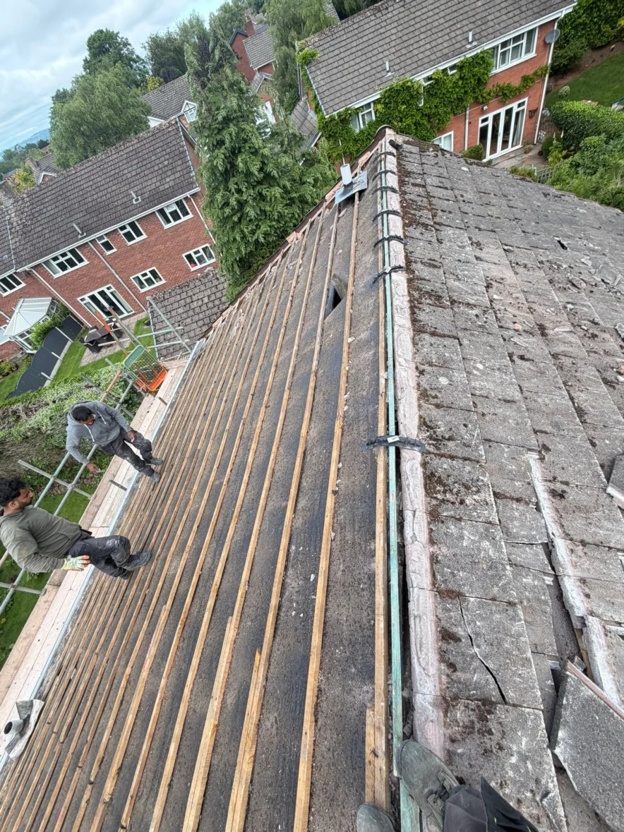 New Roof